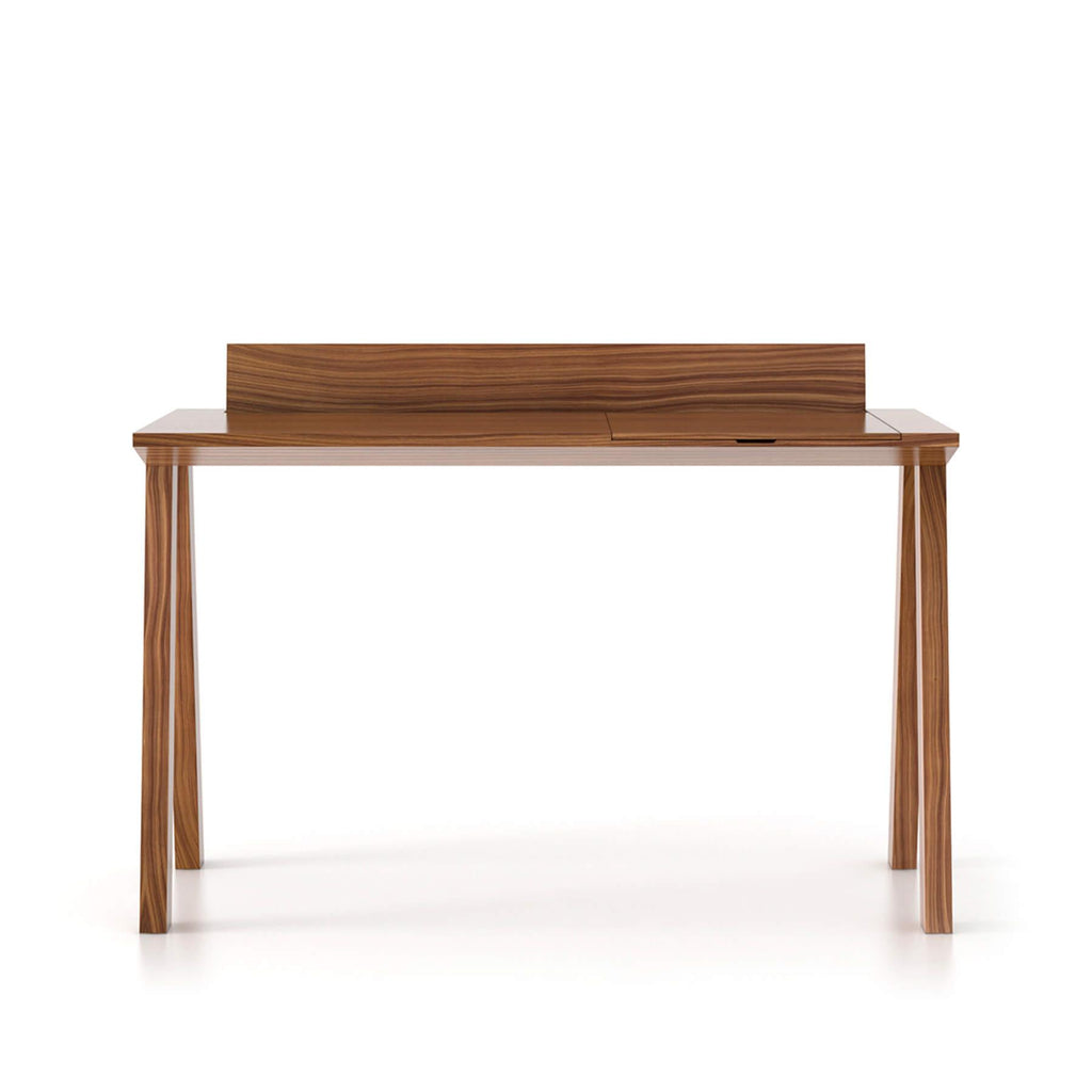 Punt Ernest Desk