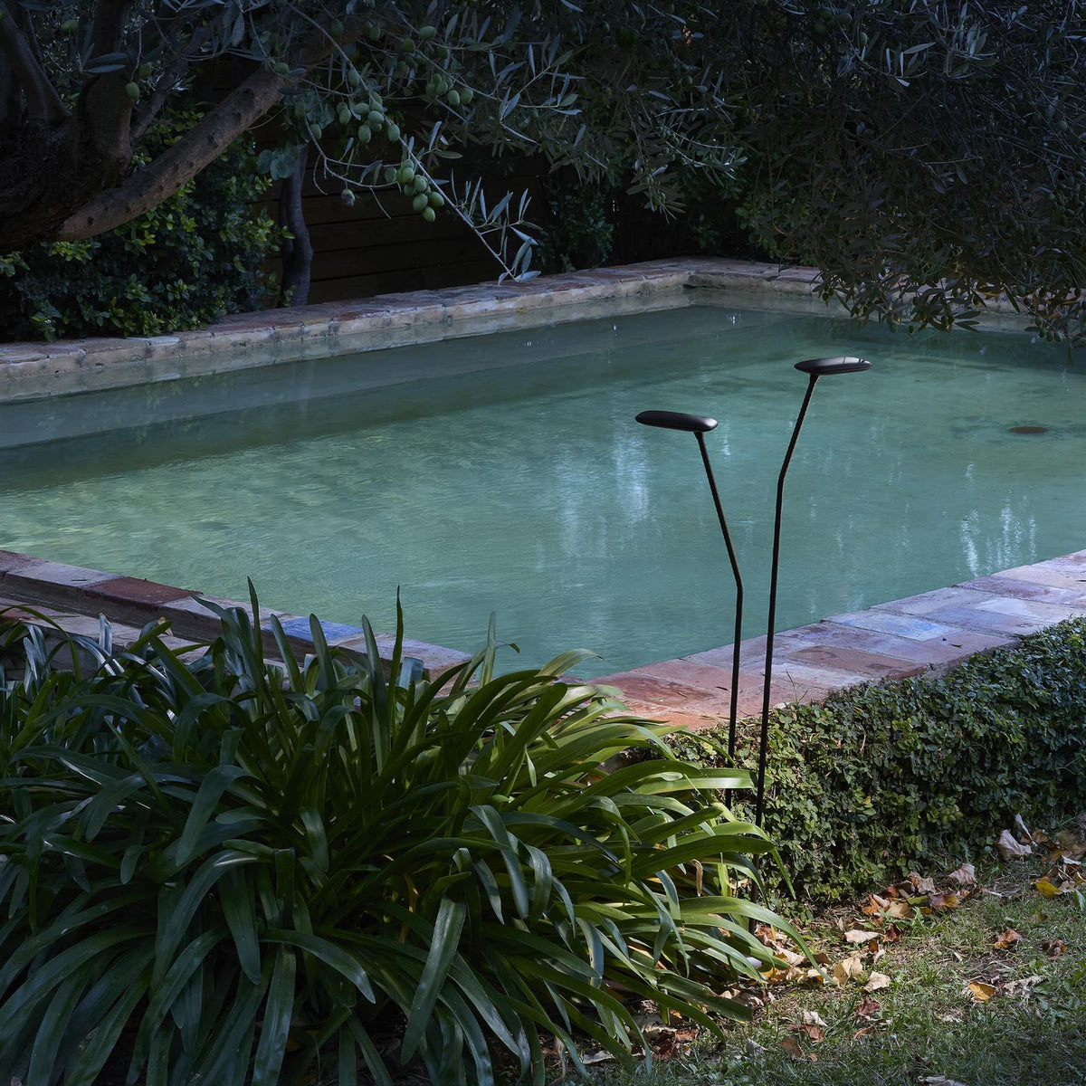 Bover Birdie Outdoor Bollard Light