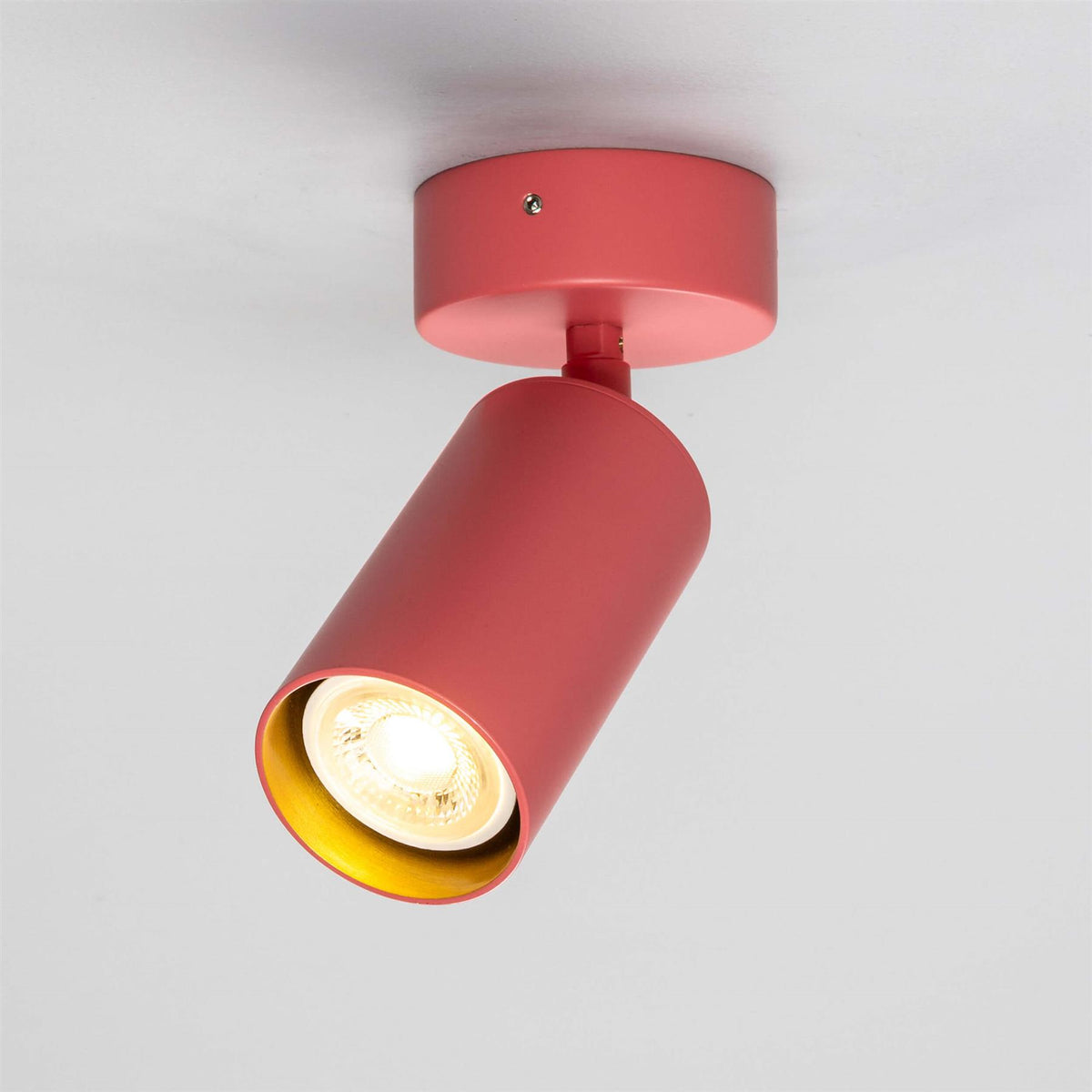 Mullan Lighting Evanston Directional Brass Ceiling Spotlight