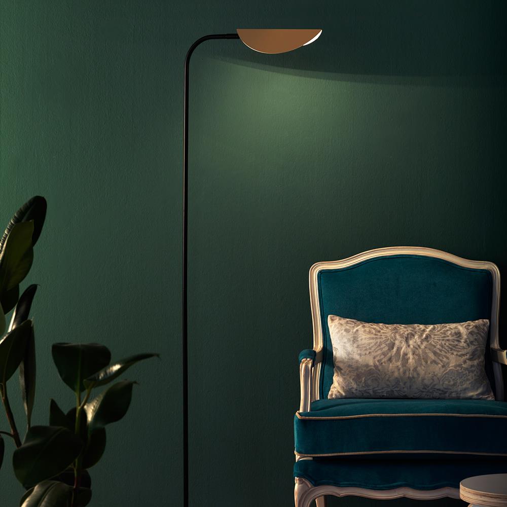 Aromas Ficus Floor Lamp