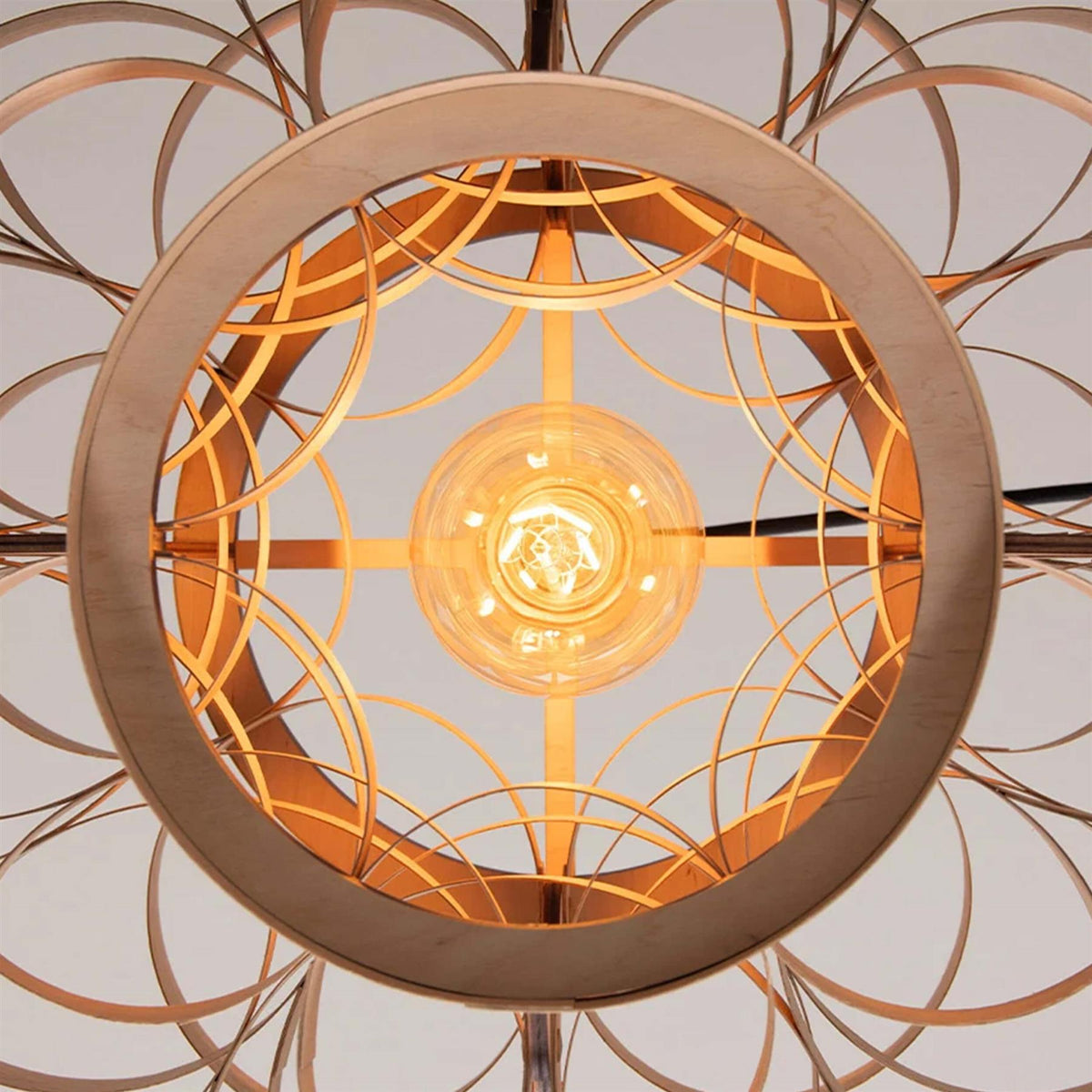 Tom Raffield Gwen Pendant Light
