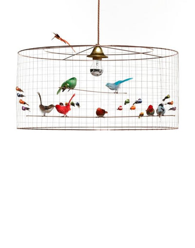 Voliere Pendant Light