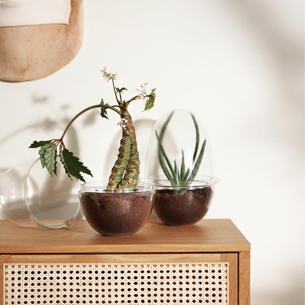 Design House Stockholm Grow Greenhouse