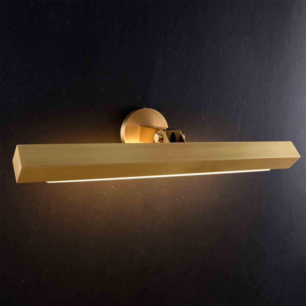 Jimmy Raiden Canner Picture Light