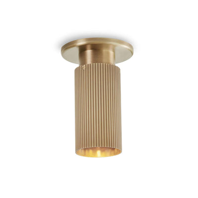 J. Adams Spot Pro Down Light