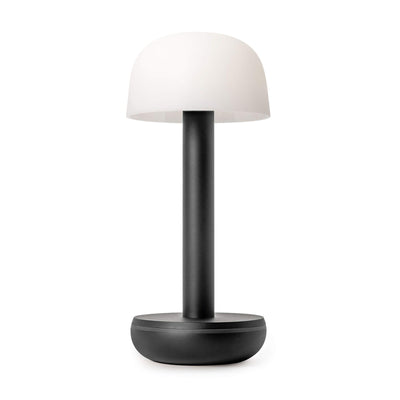 Two Portable Rechargeable Lamp