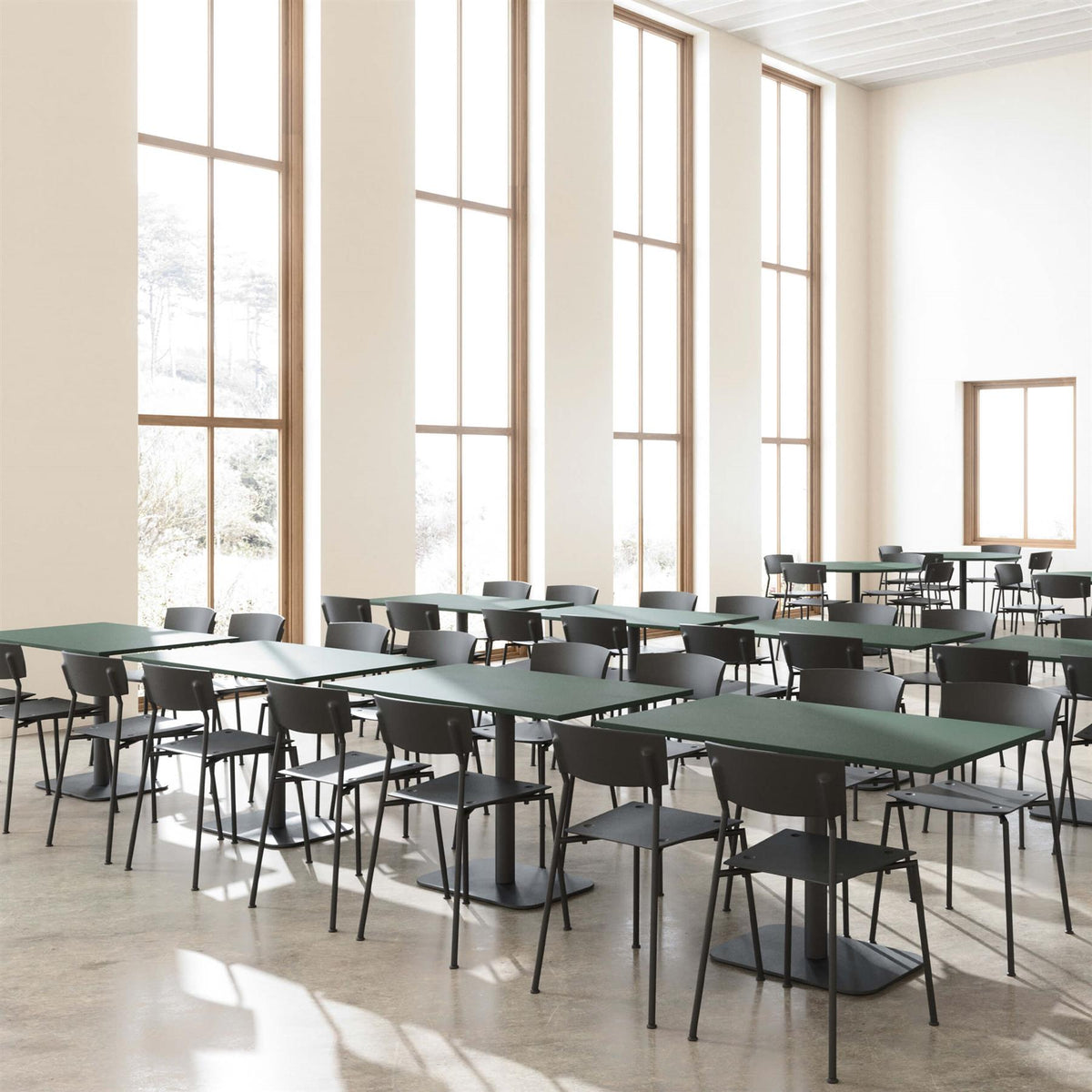 Andersen Furniture Pure Dining Chair