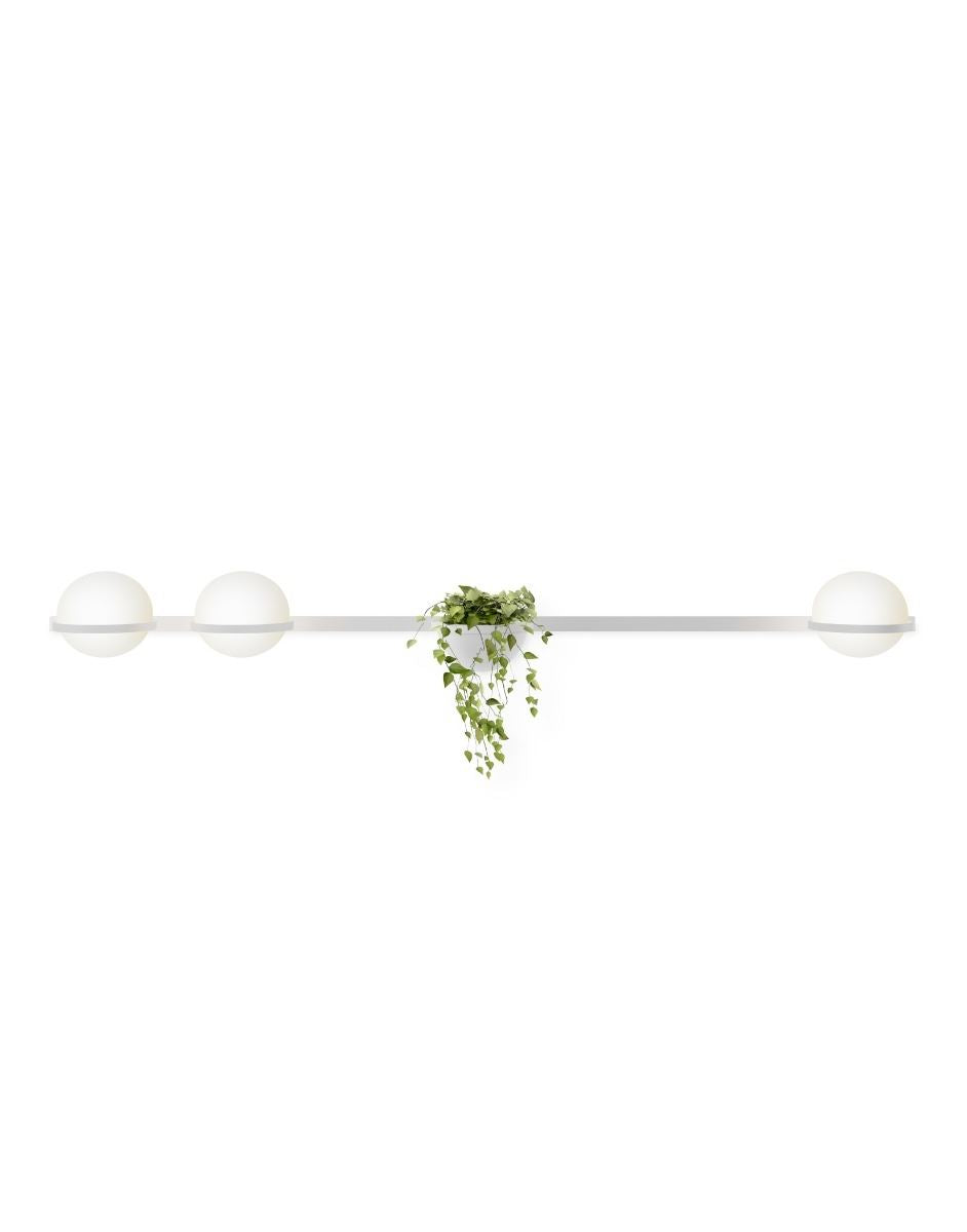 Vibia Palma Wall Light