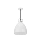 Jielde Medium Augustin Pendant Light - Gloss