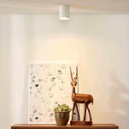Lucide Bodi Ceiling Spotlight