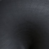 Black Beech
