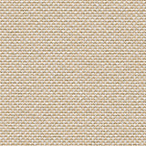 Plano 03 Parchment Cream White with Natural Oak Legs