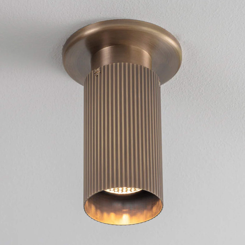 J. Adams Spot Pro Down Light
