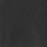 Leather thor 359